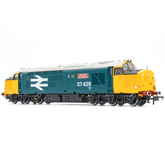 Class 37 - Large Logo Blue - 37429